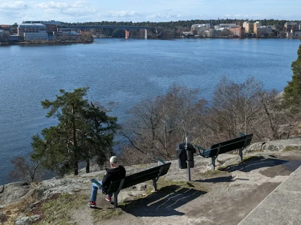 Svensk kultur och speltradition